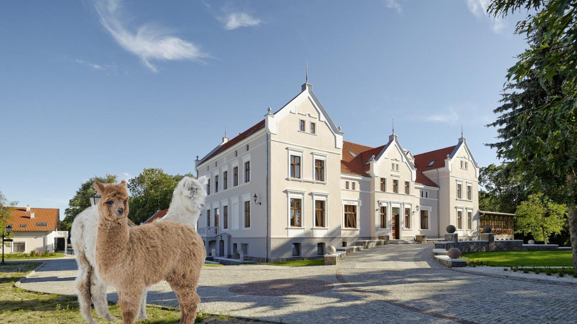 Palac Mortegi Hotel & Spa- Restauracja Szlachecka, Spa, Basen, Sauny, Jazda Konna, Mini Zoo- Luksus, Relaks I Przyroda W Jednym! Lubawa Luaran gambar